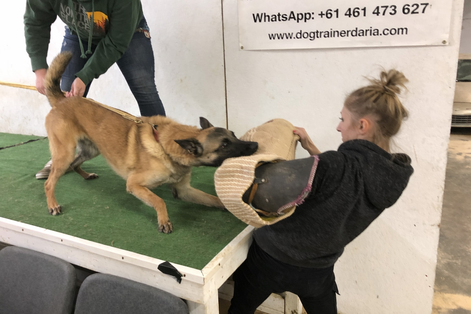 Behavioral dog training session - DogTrainerDaria